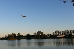 This pond was far too much temptation.