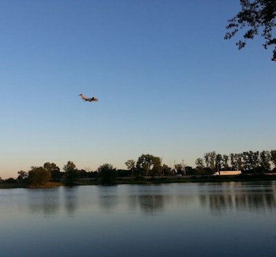 This pond was far too much temptation.