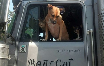 Omnitracs is looking for submissions for its Big Rig Buddies 2017 Giveaway. Drivers can submit a photo of their furry travel companion along with a description as to why their pet is the best companion on the road.