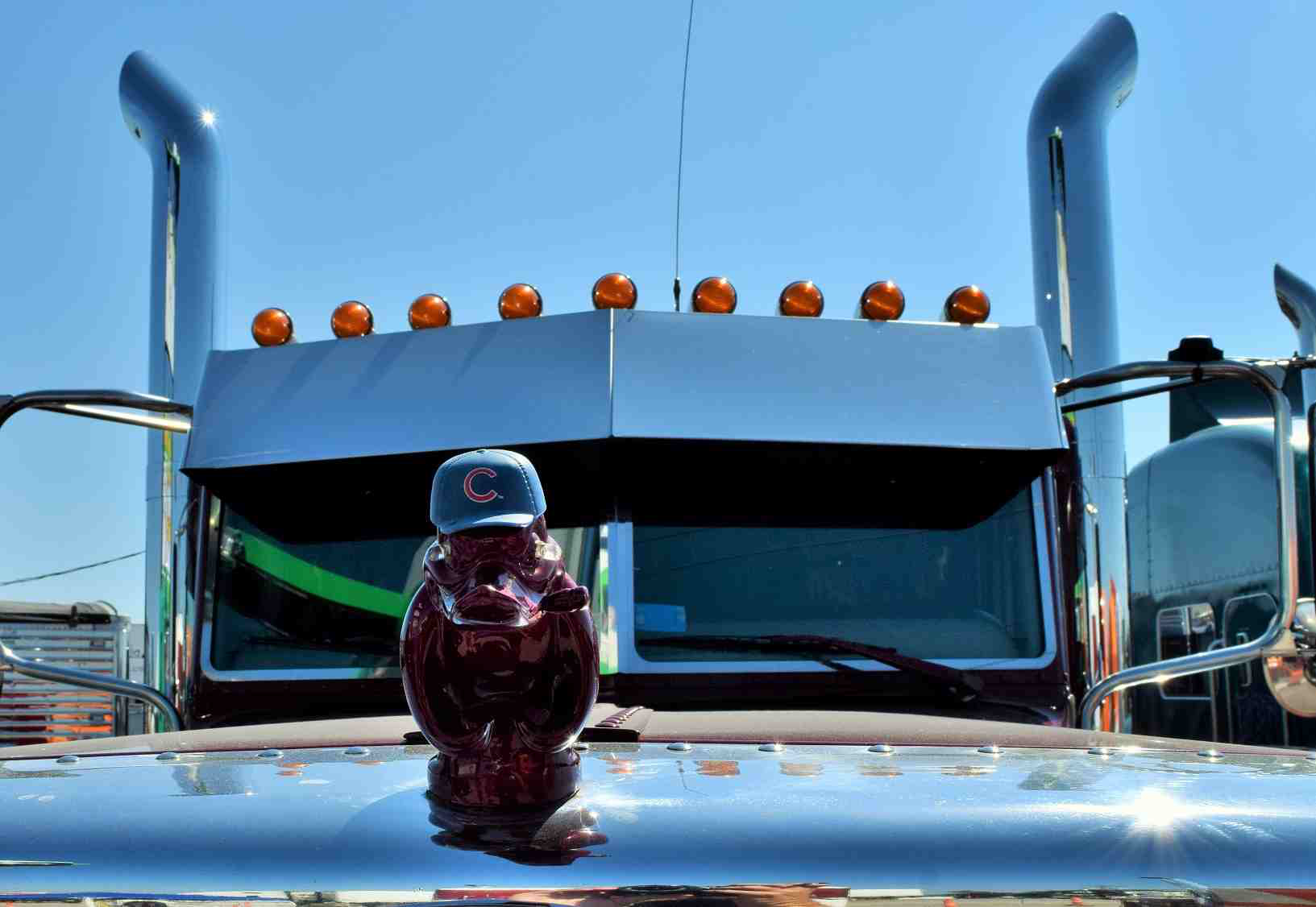 chicago-cubs-cap-on-dave-marti-duck