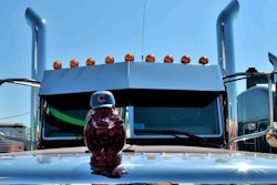 chicago-cubs-cap-on-dave-marti-duck