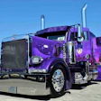 sean-mcendree-peterbilt-379-2006