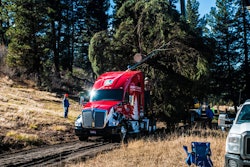 A crane loads the 80-foot Englemann Spruce that will serve as this year’s U.S. Capitol Christmas Tree onto Gary Amoth Trucking’s specially-decaled Kenworth T680.