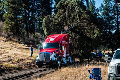 A crane loads the 80-foot Englemann Spruce that will serve as this year’s U.S. Capitol Christmas Tree onto Gary Amoth Trucking’s specially-decaled Kenworth T680.