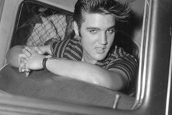 Some days you’re Elvis, some days you’re Jed Clampett.