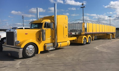 Franzoy 2017 02 10 08 20 E1486736492686