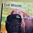 bison-and-butterfly-2017-02-22-12-23
