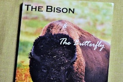 bison-and-butterfly-2017-02-22-12-23