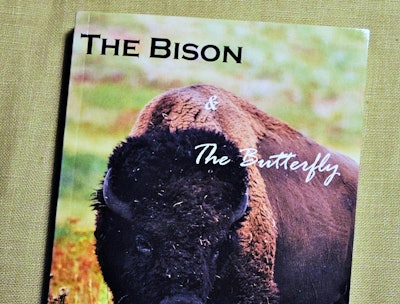 bison-and-butterfly-2017-02-22-12-23