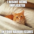 Cat Among Pillows Meme 2017 02 22 08 23