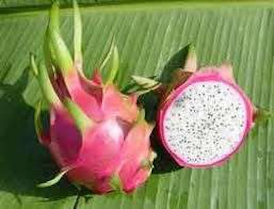 “We’ll bring the dragon fruit. Leave the babies out of it.”