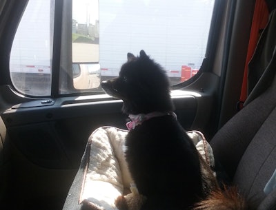 Ramos’ dog travels with her on all her hauls.