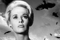 “I wonder if the cat will ride with us today.”