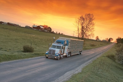 Daimler Trucks North America has recalled approximately 361 2019 Western Star 4700 and 4900 trucks.