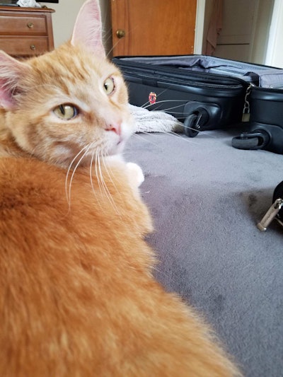 “One day, the couches will be mine.”