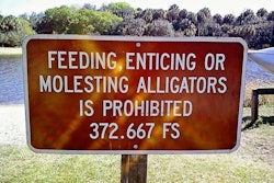 molesting the alligators-2017-05-19-12-08