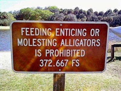 Molesting The Alligators 2017 05 19 12 08