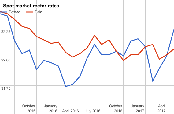 Spot market reefer rates