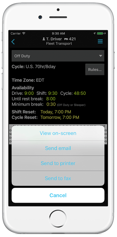 BigRoad’s roadside-inspection screen on a mobile device, showing the current variety of output choices.