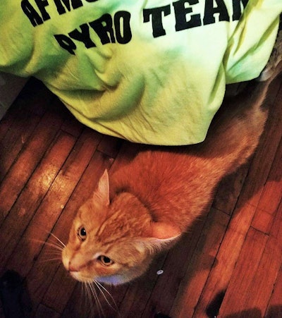 “I’ve come for your liver.”