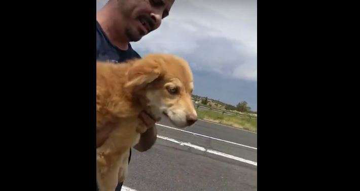 Capture-2017-08-19-12-55