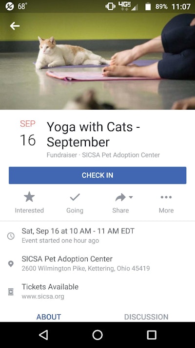 Yoga With Cats 2017 09 18 07 57