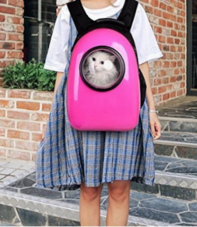 Cat Backpack 2017 09 18 07 56