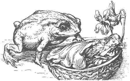 Thumbelina-2017-10-16-11-14