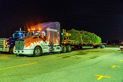 The 79-foot Englelmann Spruce was cut from the Kootenai National Forest earlier this month and hauled 3,000 miles to the U.S. Capitol, where it was delivered Monday.