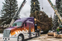 Capitol-tree-loaded-2017-11-10-09-45