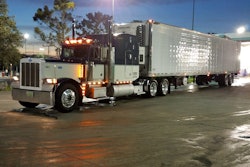 Young-2017-11-07-08-54