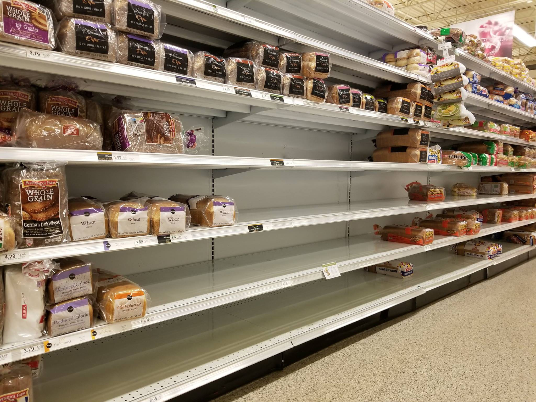 Fiffe Publix pics 2-2017-12-29-16-08