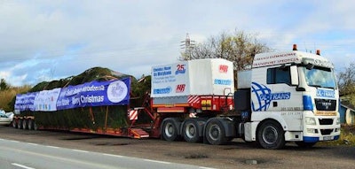Polish transport companies Ol-Trans A. Rybka and HR Polska managed to move the tree successfully a distance of approximately 1,650 miles to the country, located within the city of Rome.
