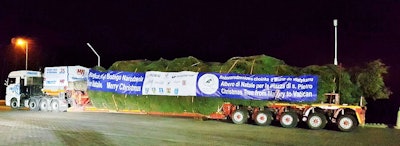 Because the maximum width of the tree in nature was 9 meters, it was been reduced by more than half for the transport on the vehicle. This was the most difficult part of the entire project. The spruce was placed on three specially designed adjustable metal frames (in front, in the middle and at the rear of semi-trailer). It helped to fit the load precisely after placing it on the vehicle and securing it with ropes, transport straps and plastic mesh.