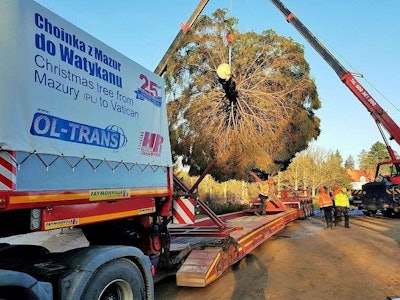 The spruce was a very specific load, difficult to secure and susceptible to damage. Fixing the tree was carefully planned and prepared for. The companies carried the tree from Poland to the Vatican on a Faymonville VarioMAX low-bed trailer.