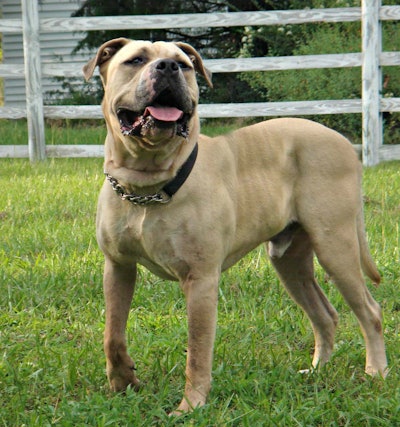 Truckers, meet Buster.