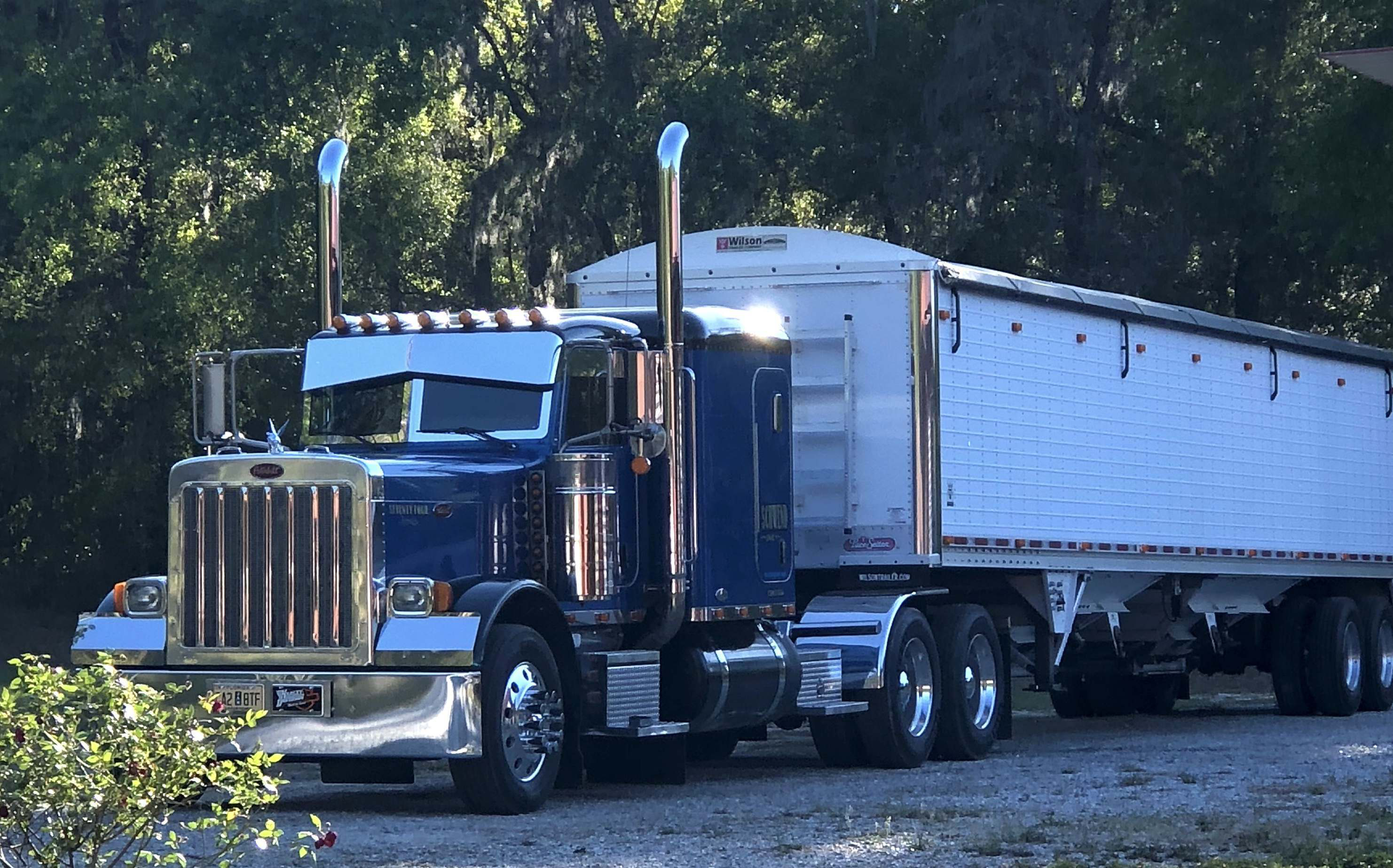 Olevnik-2018-04-24-11-24