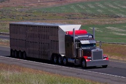 livestock-2018-06-06-16-09