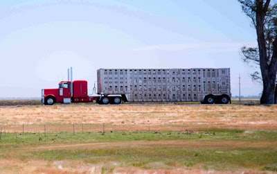 Red semi-truck hauling a livestock trailer