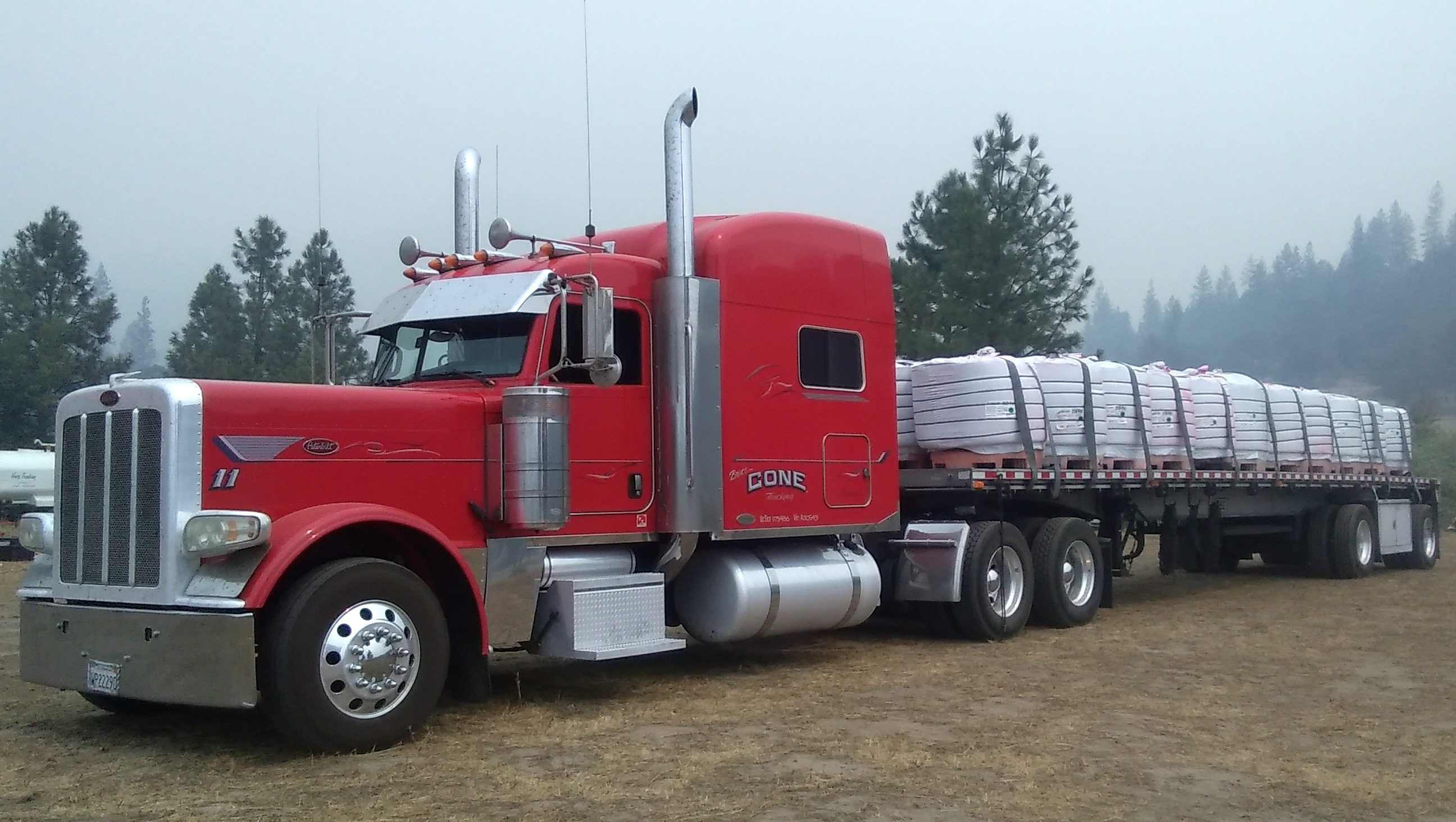 Cone-2018-08-14-12-35