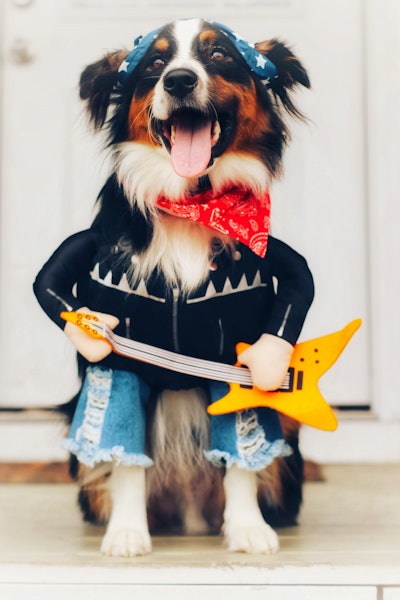 20181010155857 Img 9428 02