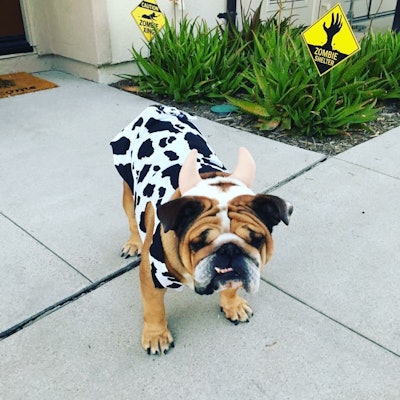 2 Ce96 Aff B9 Ca 495 D 8 F31 D31486 Ace279