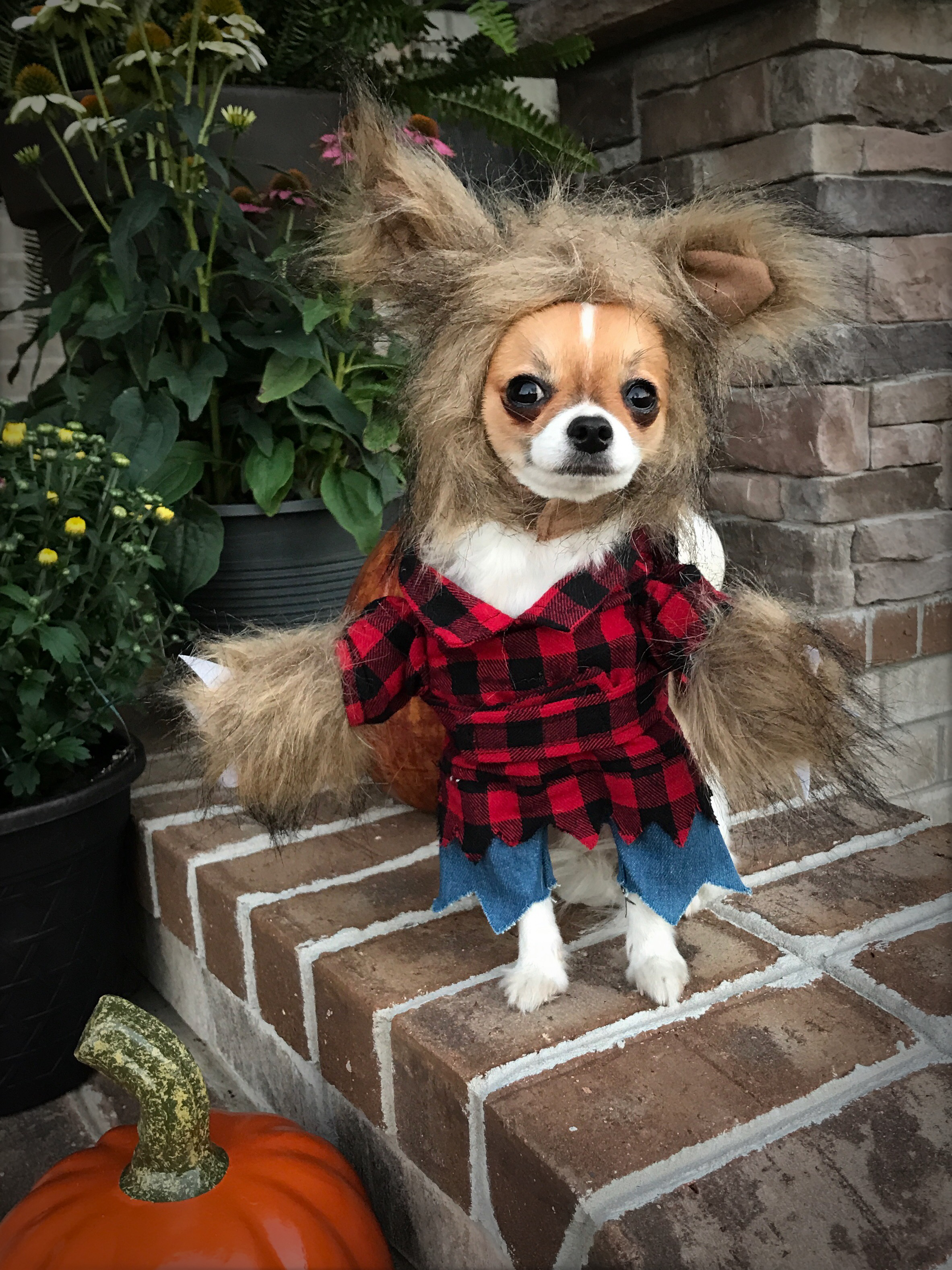 355916B6-EE1B-48F6-89D5-41170851D137