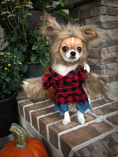 355916 B6 Ee1 B 48 F6 89 D5 41170851 D137