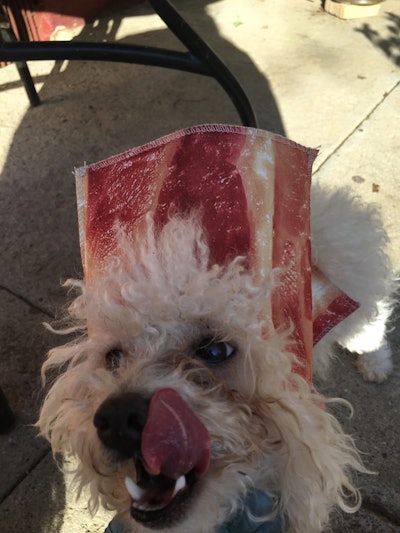 5 Bf41 Aee Debb 40 Af B5 B0 638260 B1 D2 C8 E1541089206384