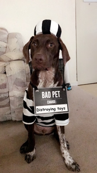 A5 Fdcd28 53 F7 4439 95 E8 7 E6874 C0 Fba3