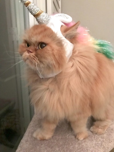 A8 C973 F3 9597 4 Dc1 9749 1 A7536 F96583