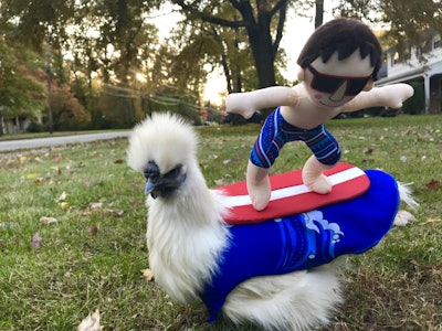 C2 Ec29 D4 6 A92 4 Fb3 Ab35 Ce2 Eee30 B17 A