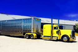 Porter Livestock