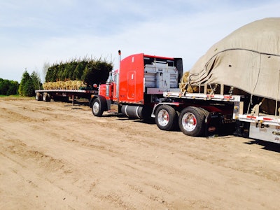 Shipping Trees in MIchigan’s UP!